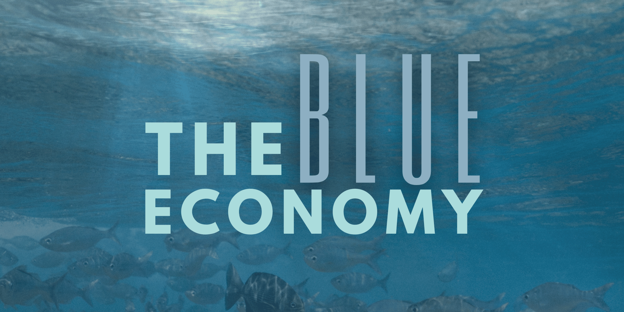 Blue Economy Insights